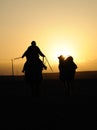 Chinese people riding camel at sunset