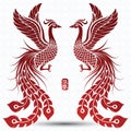 Chinese phoenix