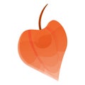 Chinese physalis icon, cartoon style