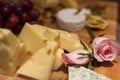 Cheese Plater with rose Royalty Free Stock Photo