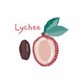 Chinese plum, exotic fruit. Ripe tropical lychee fruit isolated on white background.
