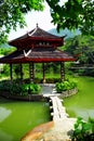 Chinese pond
