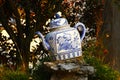 Chinese porcelain teapot Royalty Free Stock Photo