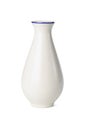 Chinese porcelain vase Royalty Free Stock Photo