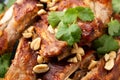 Chinese Pork ribs with peanuts and coriander Royalty Free Stock Photo