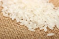 Chinese Raw grain white rice grains