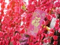 Chinese red bag money in chinese new year Royalty Free Stock Photo