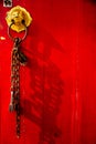 Chinese red door shrine Royalty Free Stock Photo