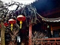 Chinese red hanging lamps, trees and traditional roofs Royalty Free Stock Photo
