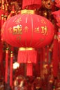 Chinese red lantern and fake firecrackers