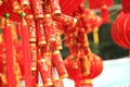 Chinese red lantern and fake firecrackers