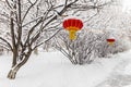 Chinese red lantern northeast snow tree