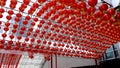 Chinese Red Lanterns across the ceiling outdoor daylight