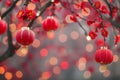 Chinese red lanterns in a tree. Chinese New Year. Lunar New Year. Chinese New Year concept Royalty Free Stock Photo