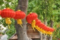 Chinese red latterns in the tree, China Royalty Free Stock Photo