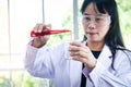Chinese researchers conduct scientific experiments to develop coronavirus Royalty Free Stock Photo