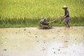 Chinese Rice Farming Royalty Free Stock Photo