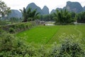 Chinese rice fields, Yangshuo, China Royalty Free Stock Photo