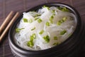 Chinese rice noodles with green onions macro in a bowl. horizontal Royalty Free Stock Photo