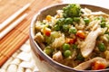 Chinese rice three delights with vegetables. Royalty Free Stock Photo