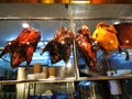 Chinese roasted duck hanging in the restaurant in Bangkok Thailand Royalty Free Stock Photo