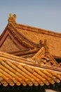 Chinese roof