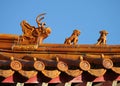 Chinese roof