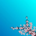Chinese sakura blue background for celebration design. Pink sakura. Blossom garden. Modern design. Cherry blossom branch. Japanese