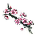 Chinese sakura Japanese plum blossom grunge spring sumi-e