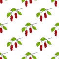 Chinese Schisandra in color, seamless 4 Royalty Free Stock Photo