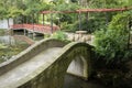 Chinese Scholar`s Garden, Hamilton Gardens