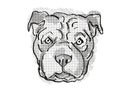 Chinese Shar-Pei Dog Breed Cartoon Retro Drawing