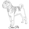Chinese shar pei dog outline