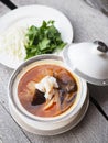 Chinese Shark`s Fin Soup with crab meat, sea cucumber and conch in brown soup. Royalty Free Stock Photo
