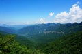 Chinese Shennongjia Primitive Forest Royalty Free Stock Photo