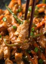 Chinese sichuan shredded pork with vegetables. Asian cuisine