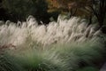Chinese silver grass. Generate Ai