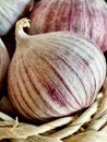 Chinese single clove garlic in a basket