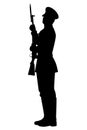 Chinese soldier with rifle gun in parade walking silhouette vector