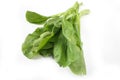 Chinese spinach (Ipomoea aquatica) on a white background Royalty Free Stock Photo