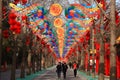 Chinese Spring Festival with dragon like Lantern