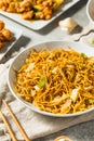 Chinese Stir Fried Asian Chow Mein Noodles