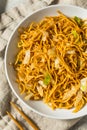 Chinese Stir Fried Asian Chow Mein Noodles