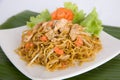 Chinese stir fried noodles with chicken Royalty Free Stock Photo