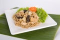 Chinese stir fried noodles with chicken Royalty Free Stock Photo