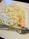 Chinese Stir Fried Rice with Shrimp and Egg Royalty Free Stock Photo