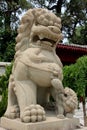 Chinese Stone Lion Royalty Free Stock Photo