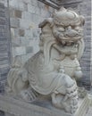 Chinese stone lion Statue Royalty Free Stock Photo