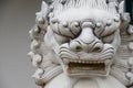 Chinese stone lion statue architecture guardian in chaina cultur Royalty Free Stock Photo