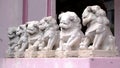 Chinese stone lion Royalty Free Stock Photo